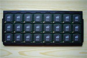 VSA-100 chips